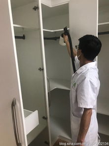 裝修后除甲醛 高效快捷的方法與實用指南