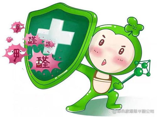 如何選擇正規(guī)除甲醛公司與空氣凈化器租賃服務