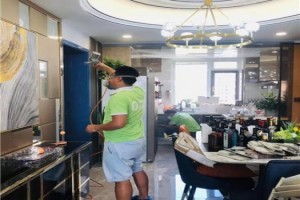 鐵嶺除甲醛 守護健康家居，科學治理刻不容緩